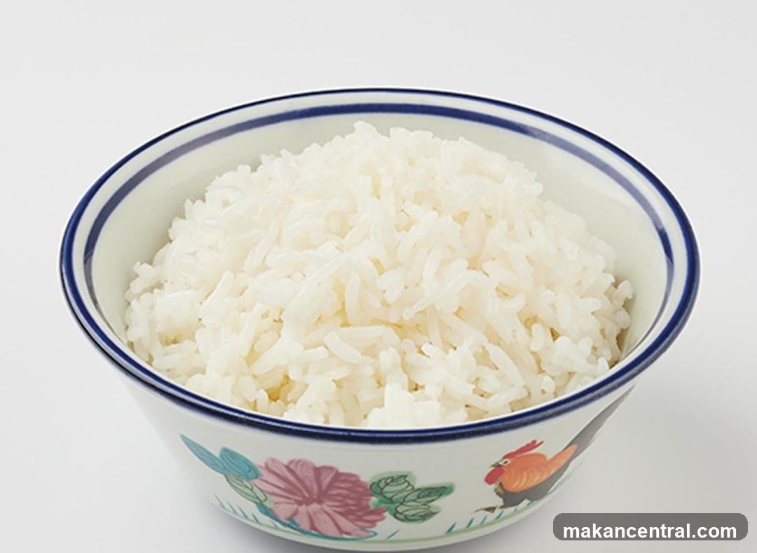 Bowl of Rice
