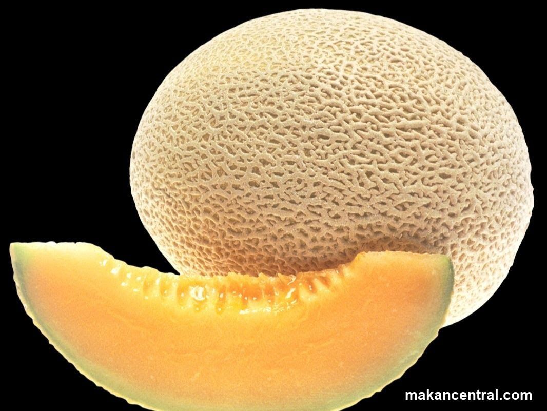 Cantaloupe Slice