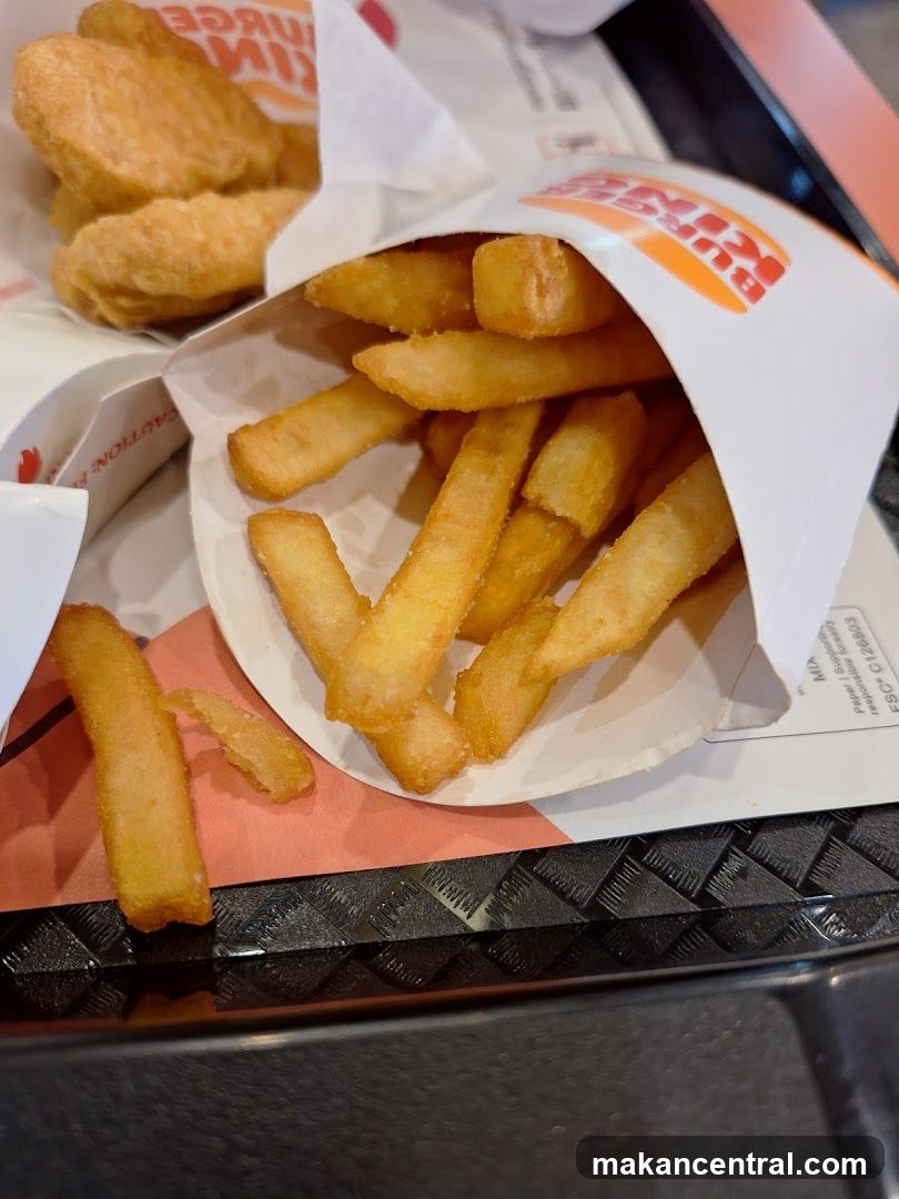 Burger King Fries and Nuggets