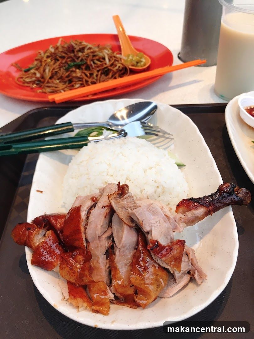 Roast Duck Rice and Noodles
