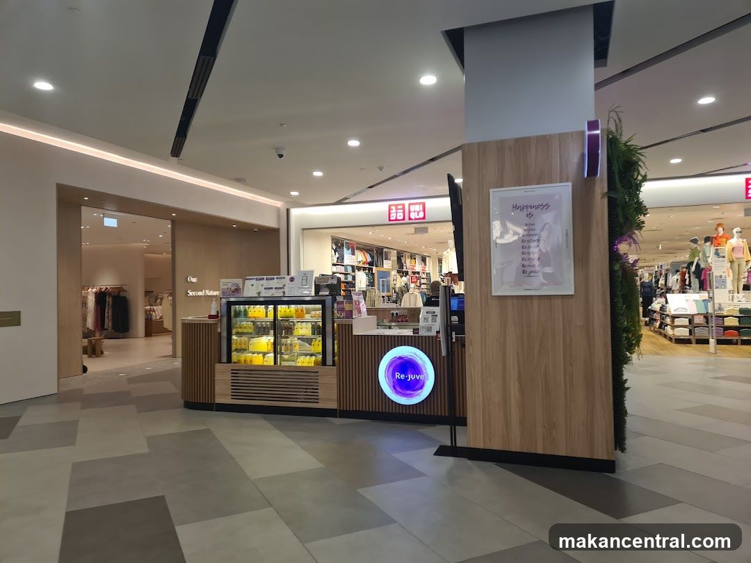 Store Interior with Cafe and Clothing Retail