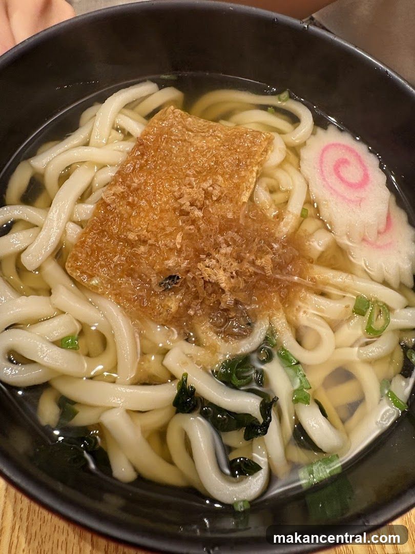 Udon Noodle Soup