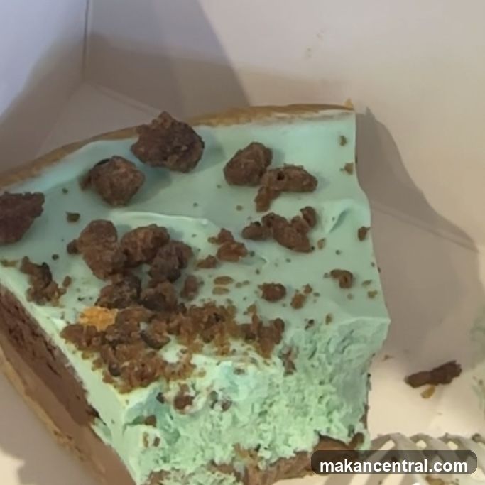 Mint Chocolate Chip Pie Slice
