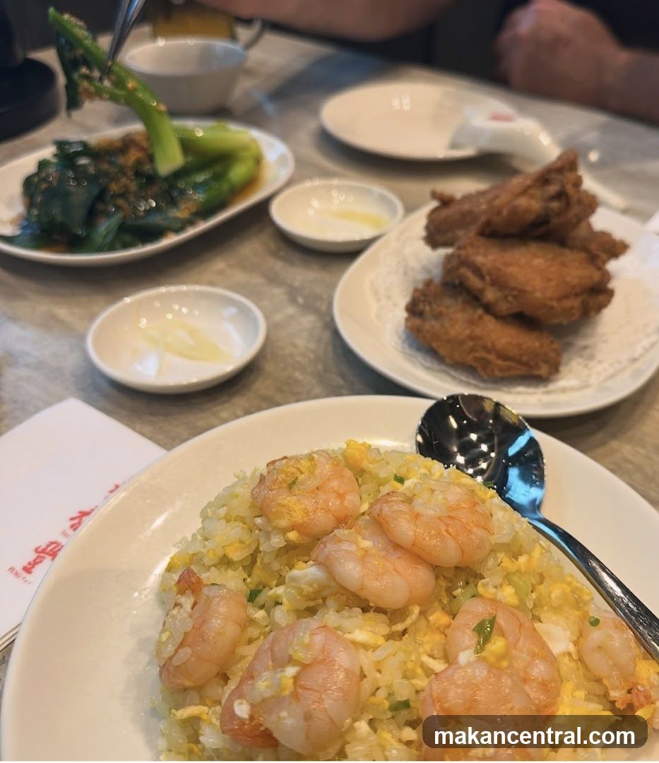 Shrimp Fried Rice and Appetizers