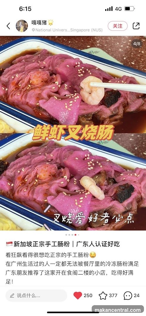 Shrimp and Char Siu Rice Noodle Rolls