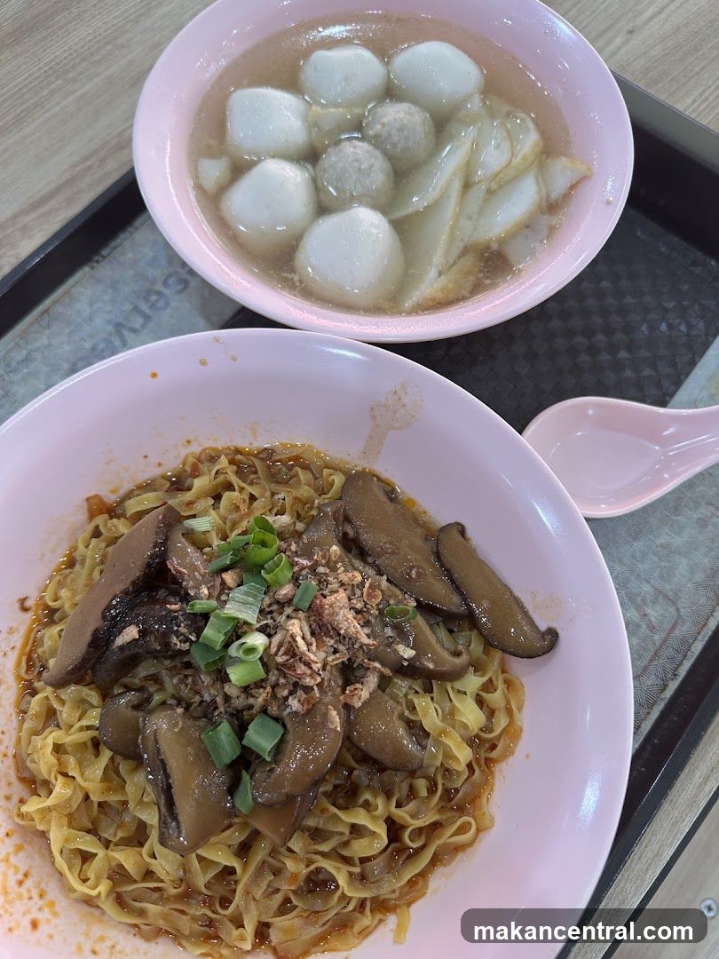 Noodles and Fishball Soup