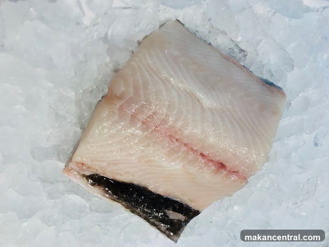 Dish The Fish