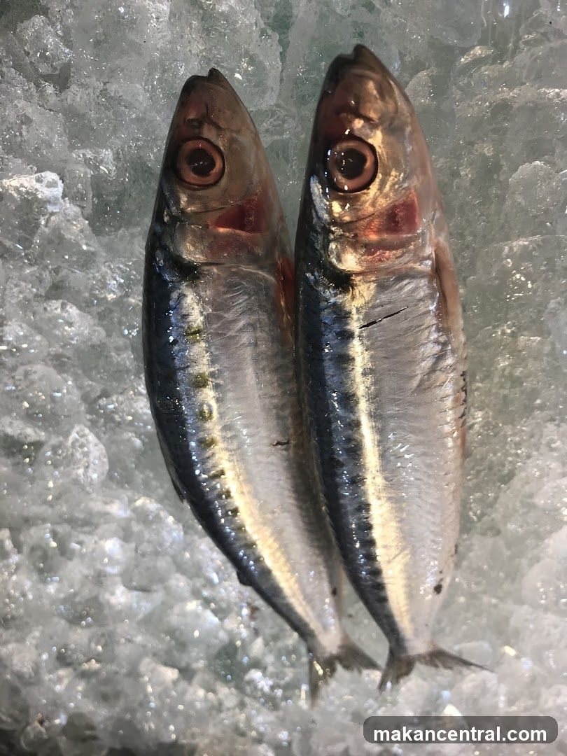 Fresh Sardines on Ice