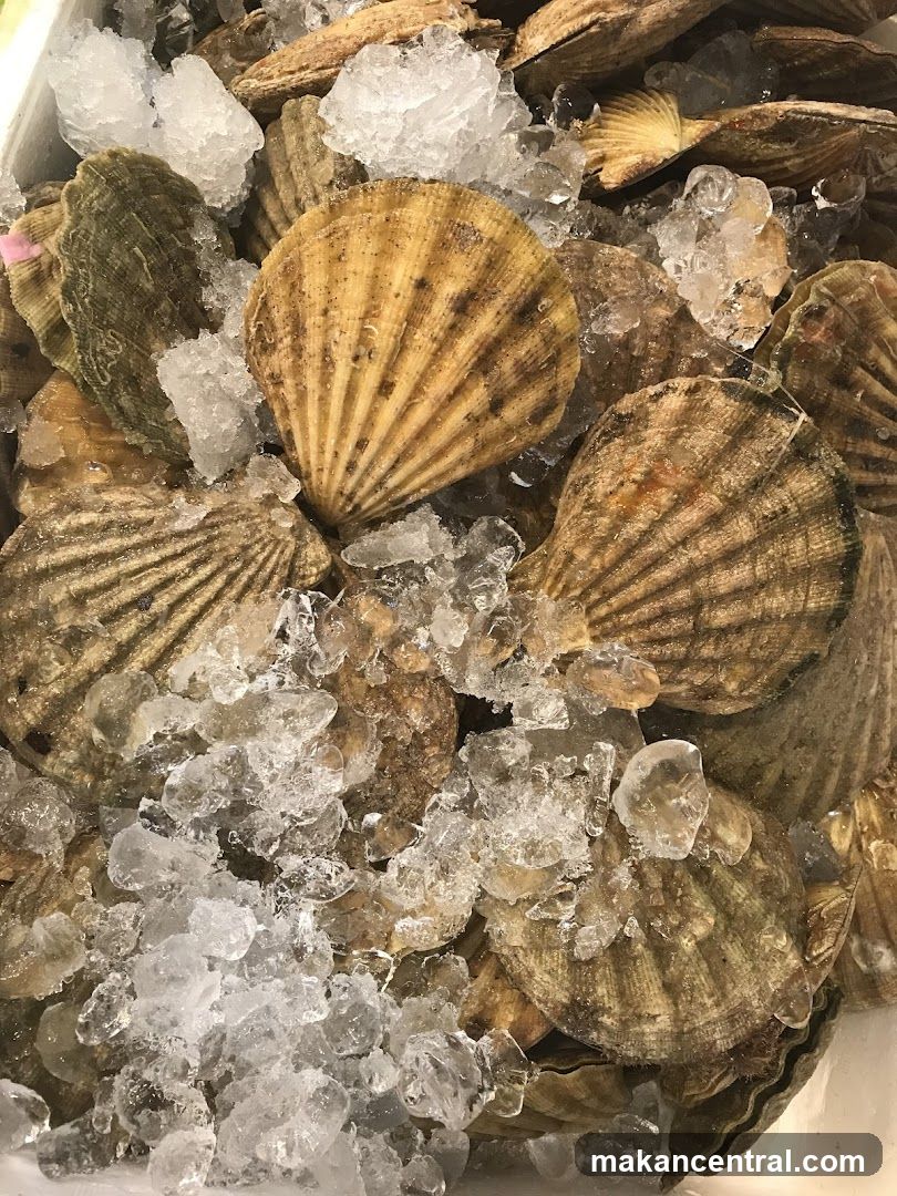 Scallops on Ice
