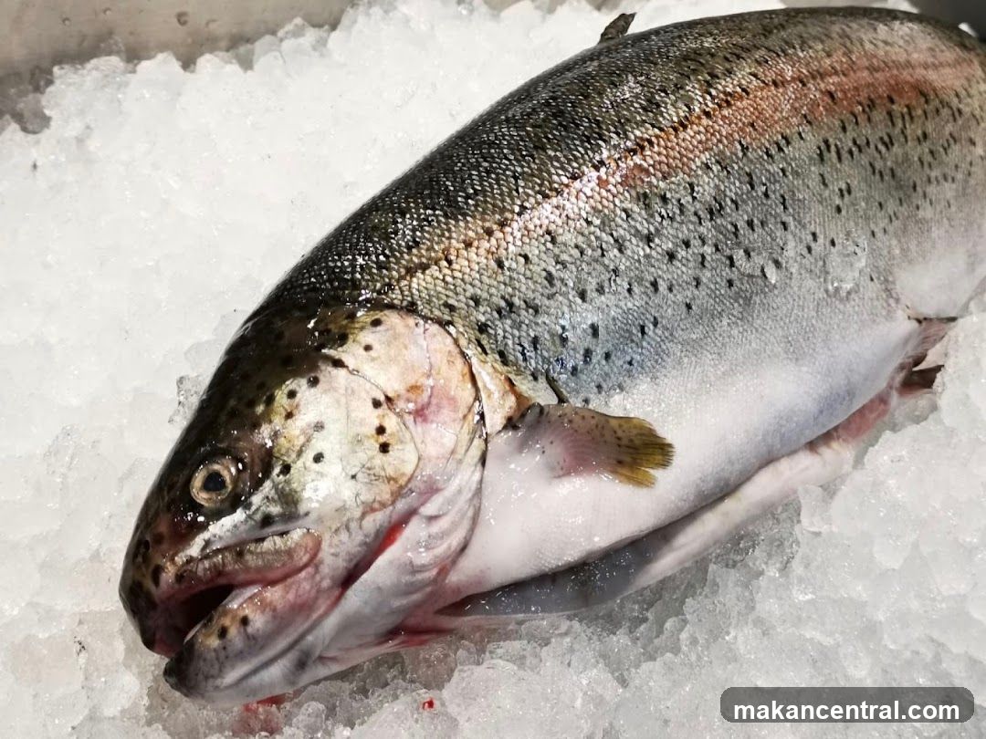 Fresh Trout on Ice