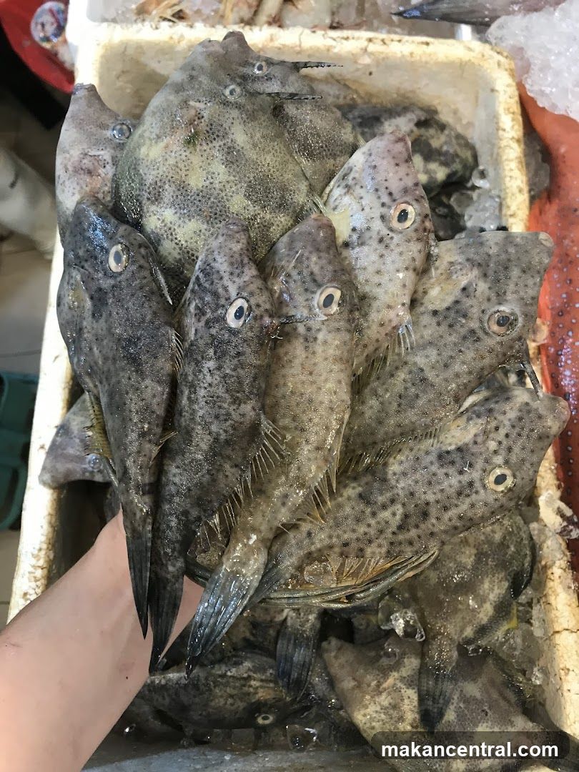 Fresh Fish Display