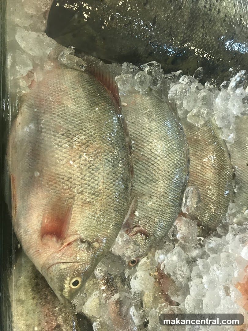 Fresh Fish on Ice