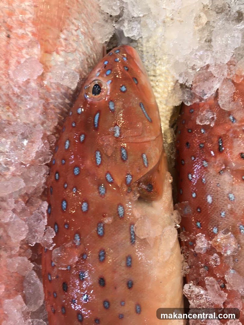 Fish on Ice