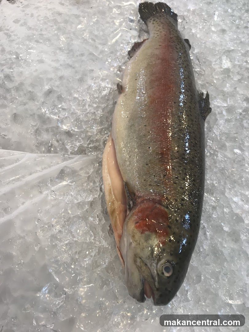 Fresh Trout on Ice