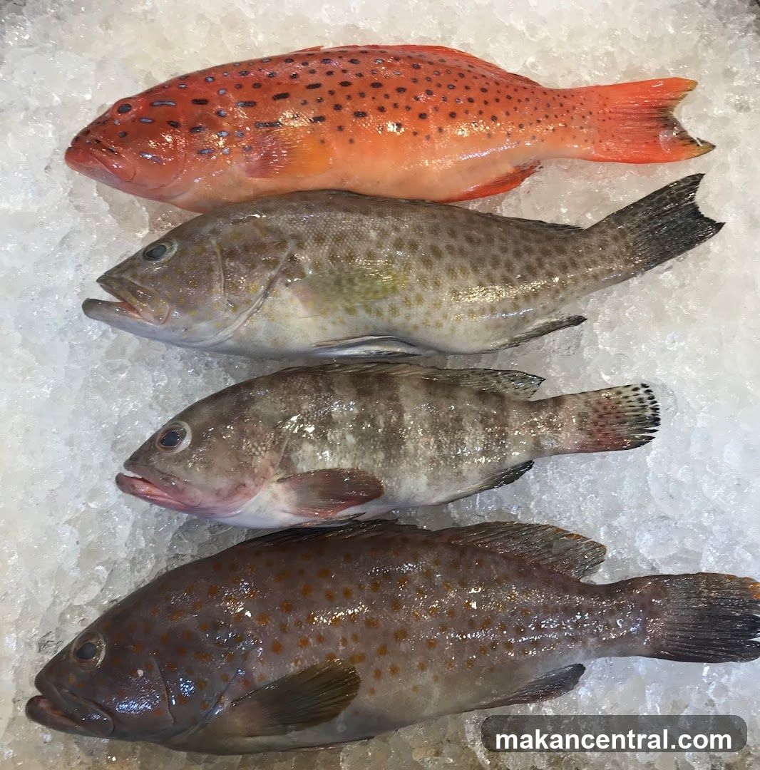 Four Fish on Ice