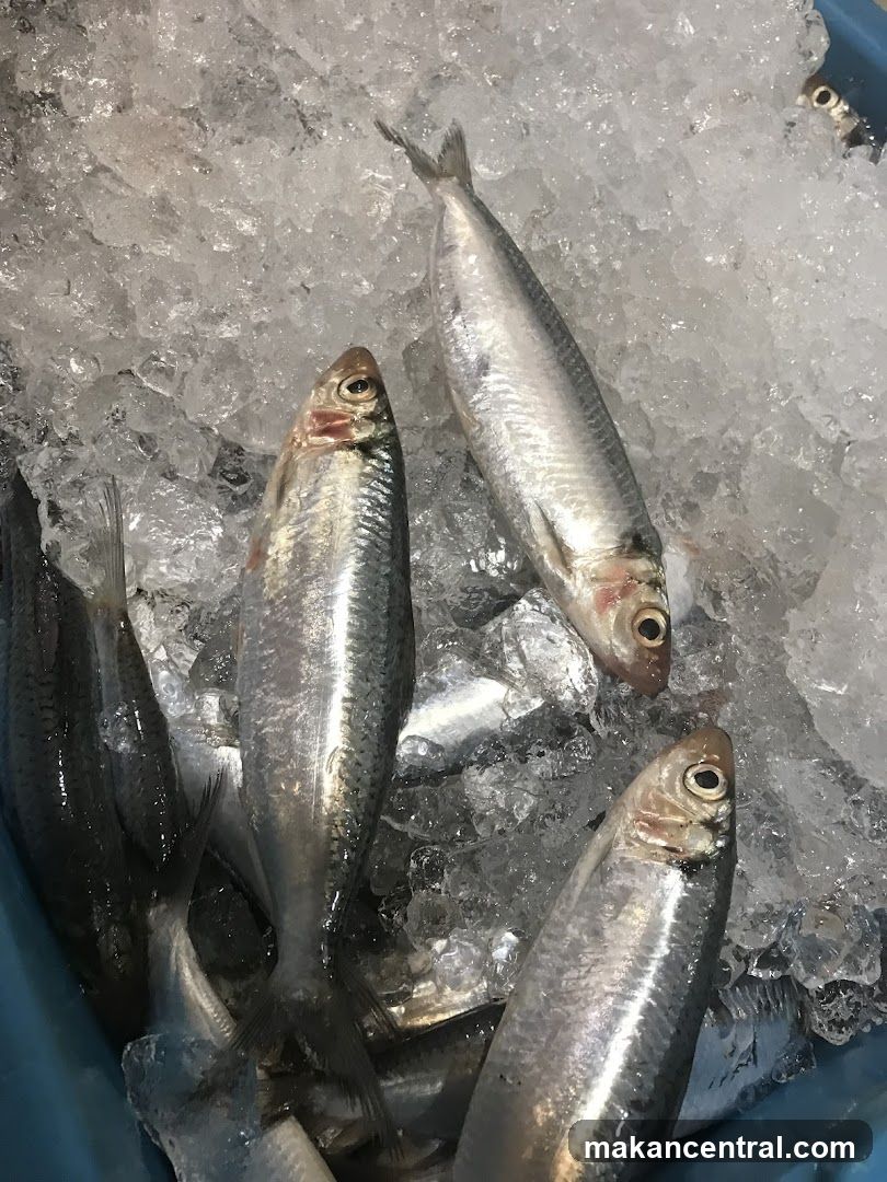 Fresh Fish on Ice
