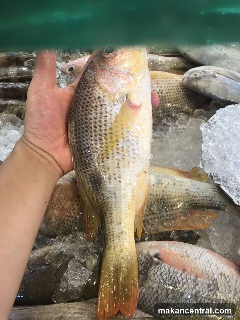 Fresh Fish Display