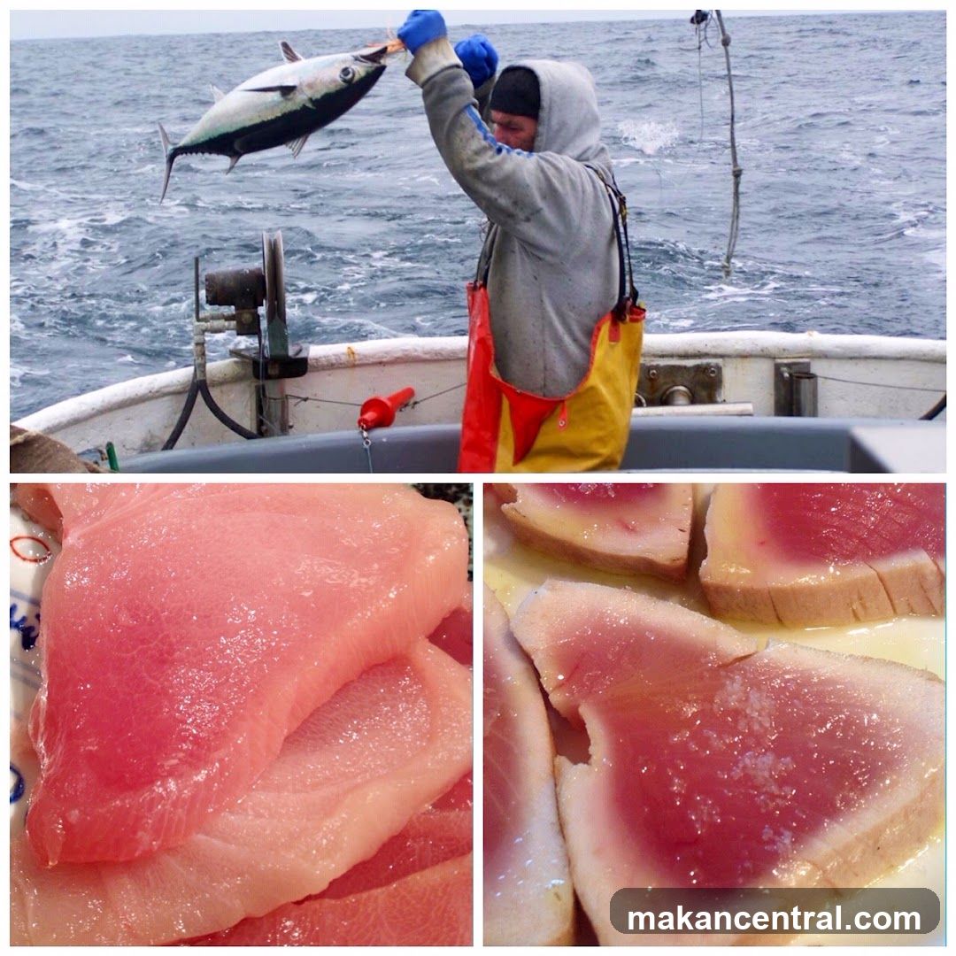 Fresh Tuna