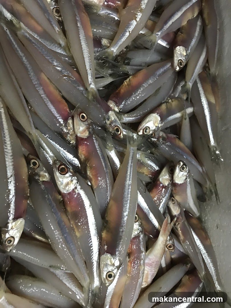 Fresh Fish