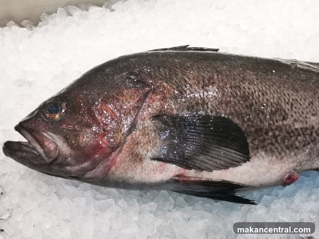 Fresh Fish on Ice