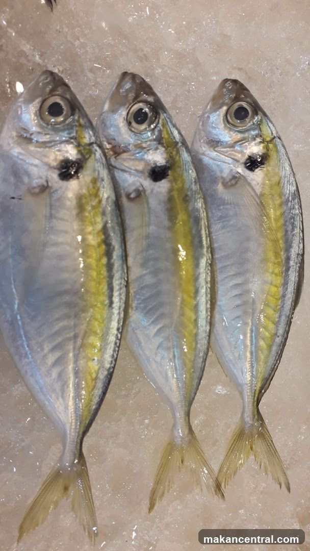 Three Fish on Ice