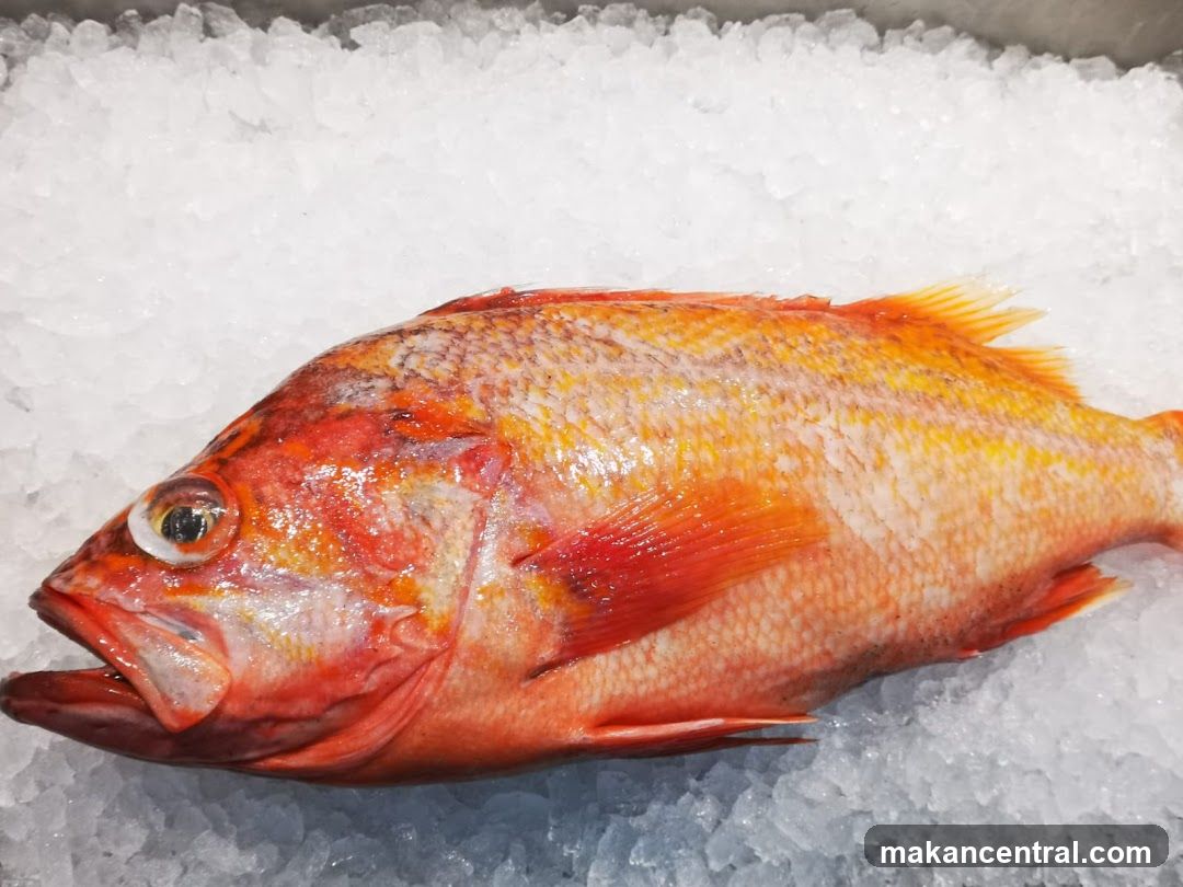 Fresh Fish on Ice