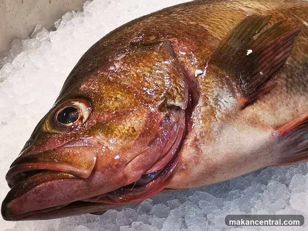 Fresh Fish on Ice