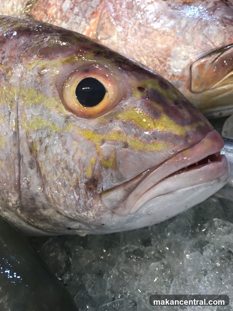 Close-up of a Fish Head