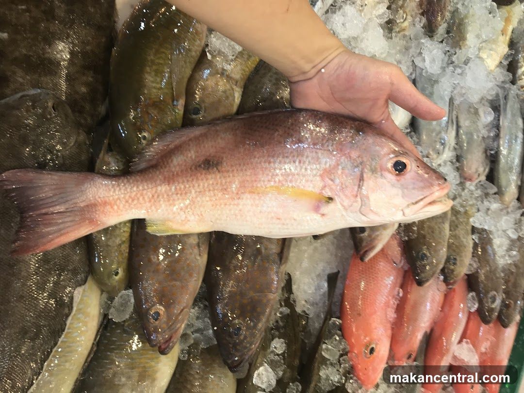 Fresh Fish Display