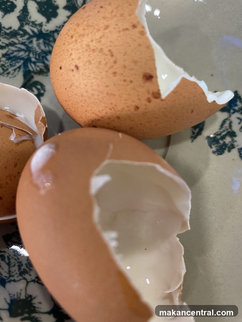 Broken Eggshells on Patterned Plate