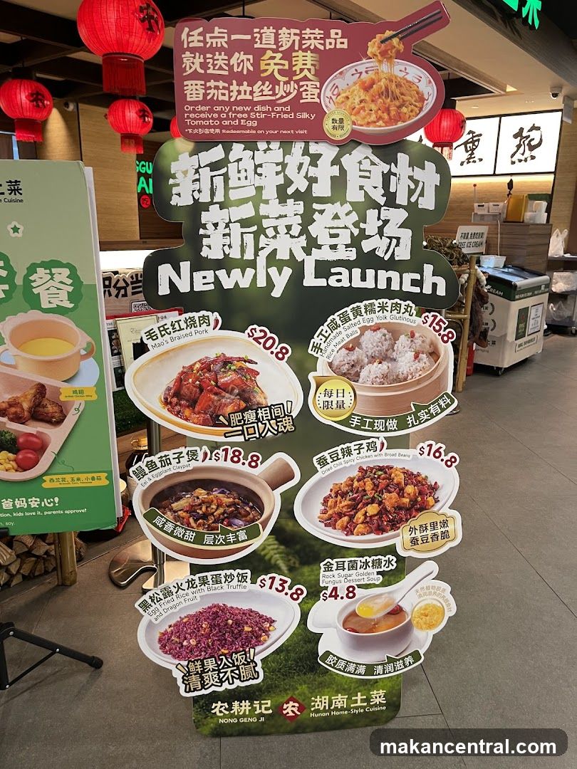 Newly Launch Promotion Display