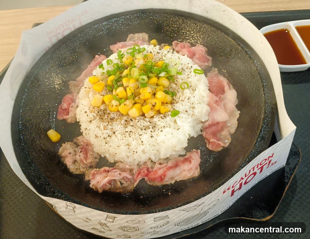 Sizzling Beef and Rice