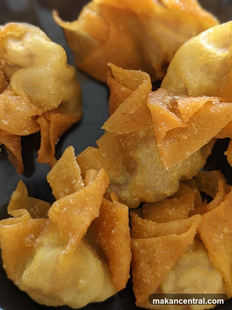 Fried Wontons