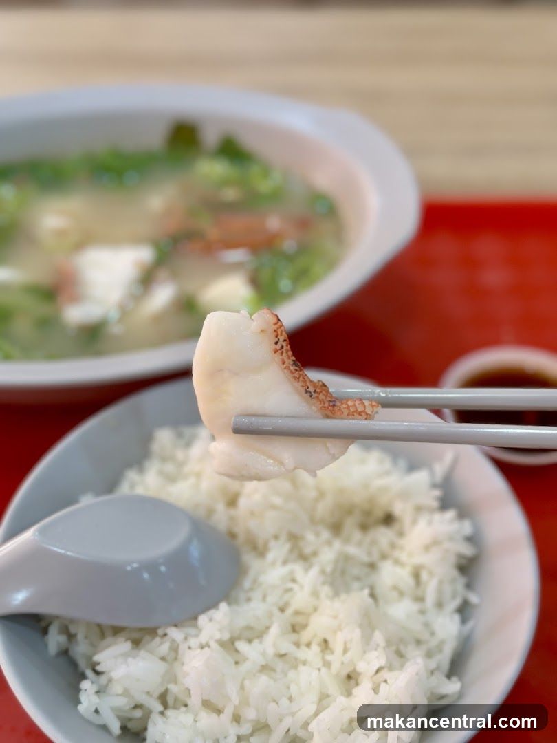 Qing Yuan Fish Soup 慶源鱼汤