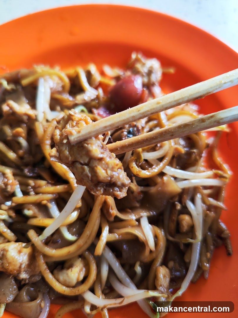 Noodles with Chicken and Bean Sprouts