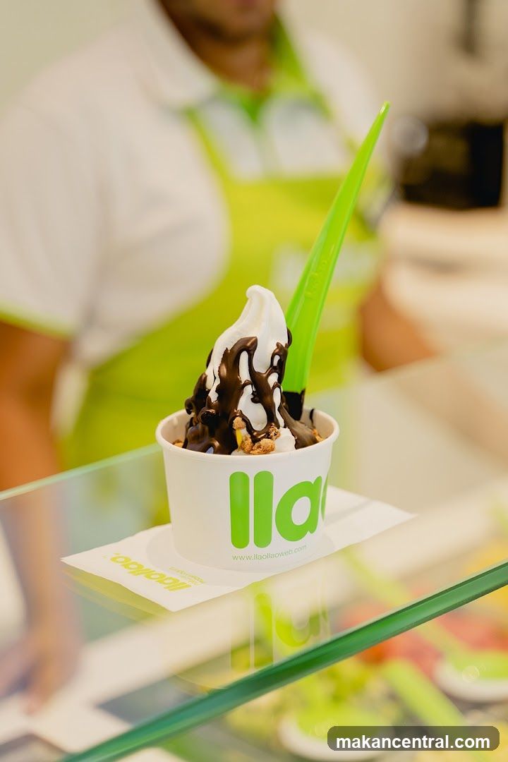 Frozen Yogurt with Chocolate Drizzle