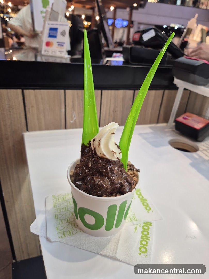 Frozen Yogurt with Chocolate Topping