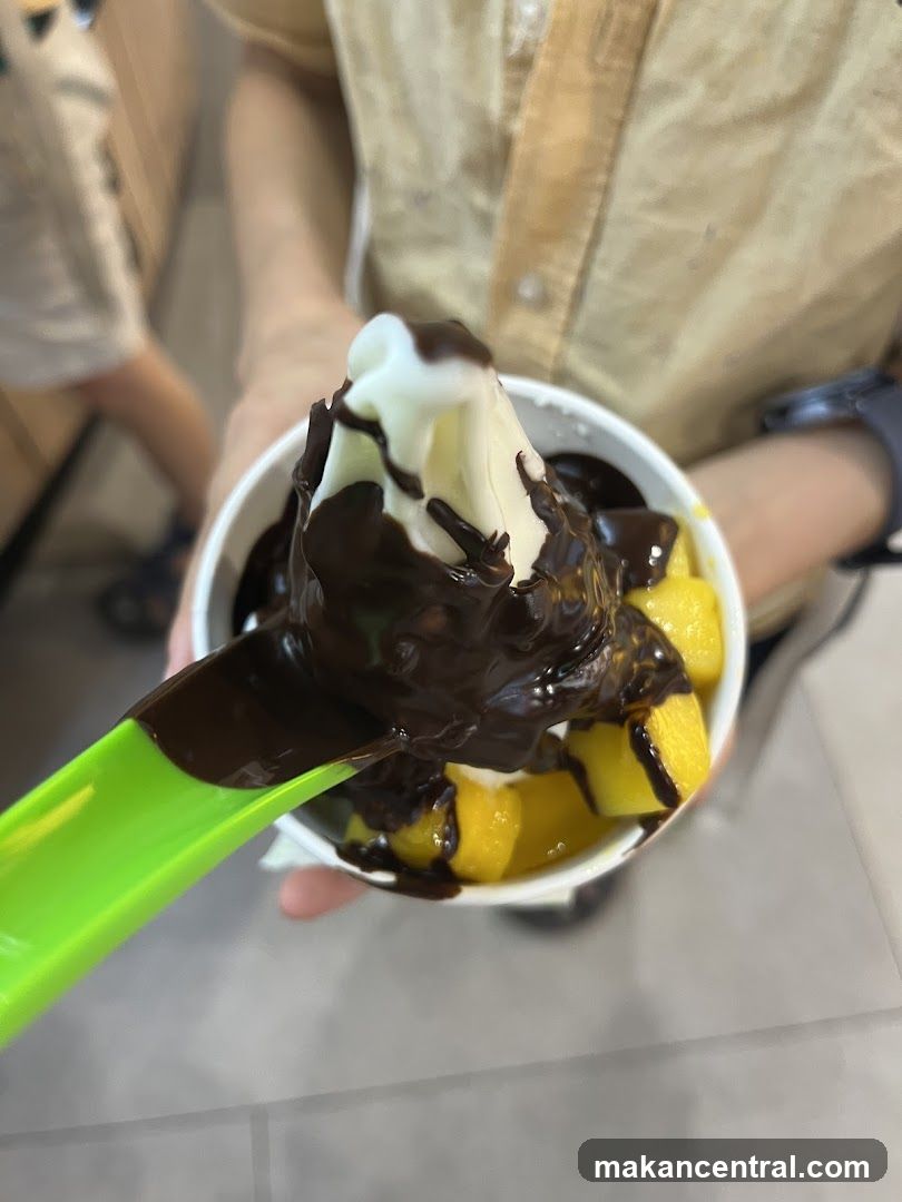 Frozen Yogurt with Chocolate and Mango