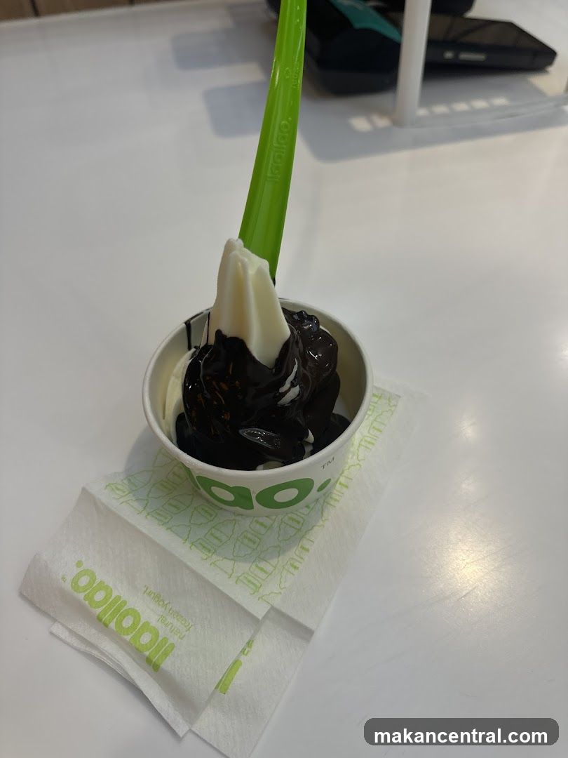 Frozen Yogurt with Chocolate Topping