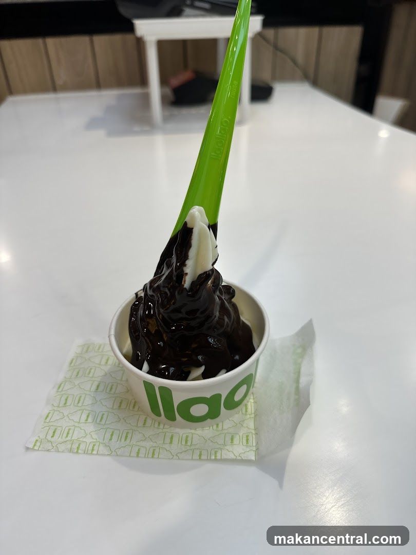 Frozen Yogurt with Chocolate Sauce