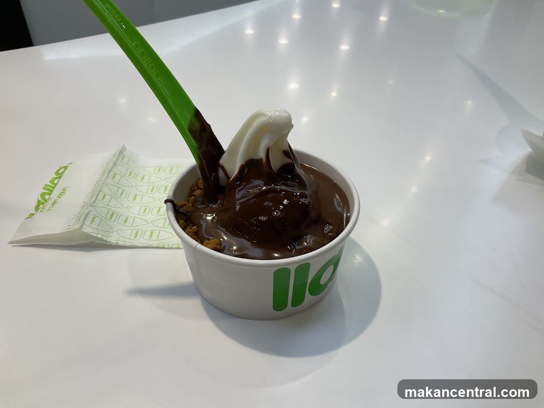 Frozen Yogurt with Chocolate Topping