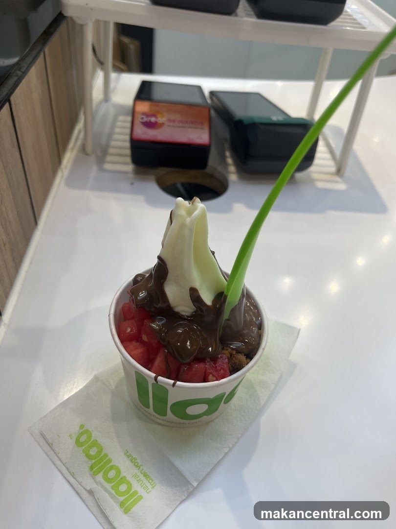 Frozen Yogurt with Chocolate and Fruit