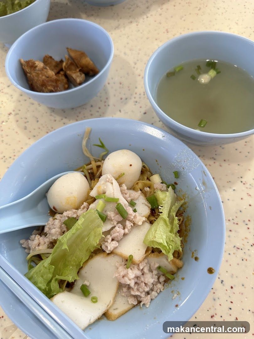 Toa Payoh Fishball Minced Meat Noodle • Laksa