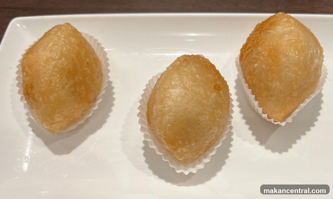Fried Dumplings
