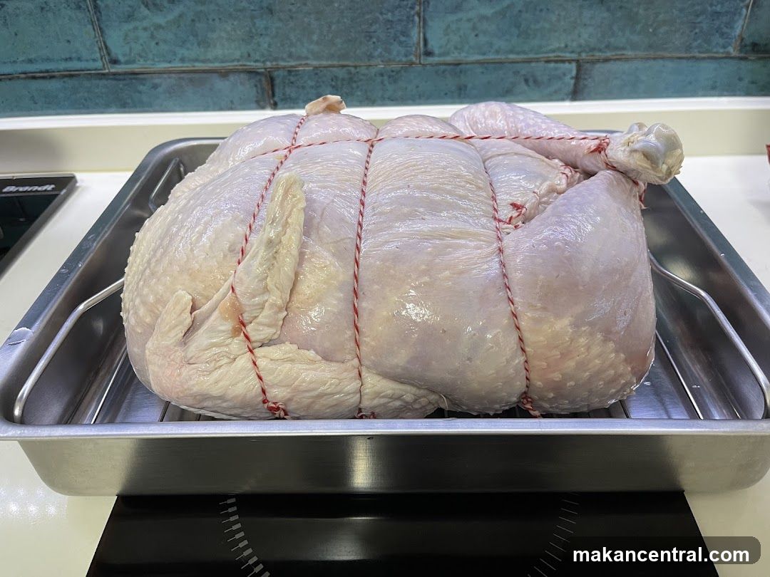 Trussed Turkey in Roasting Pan