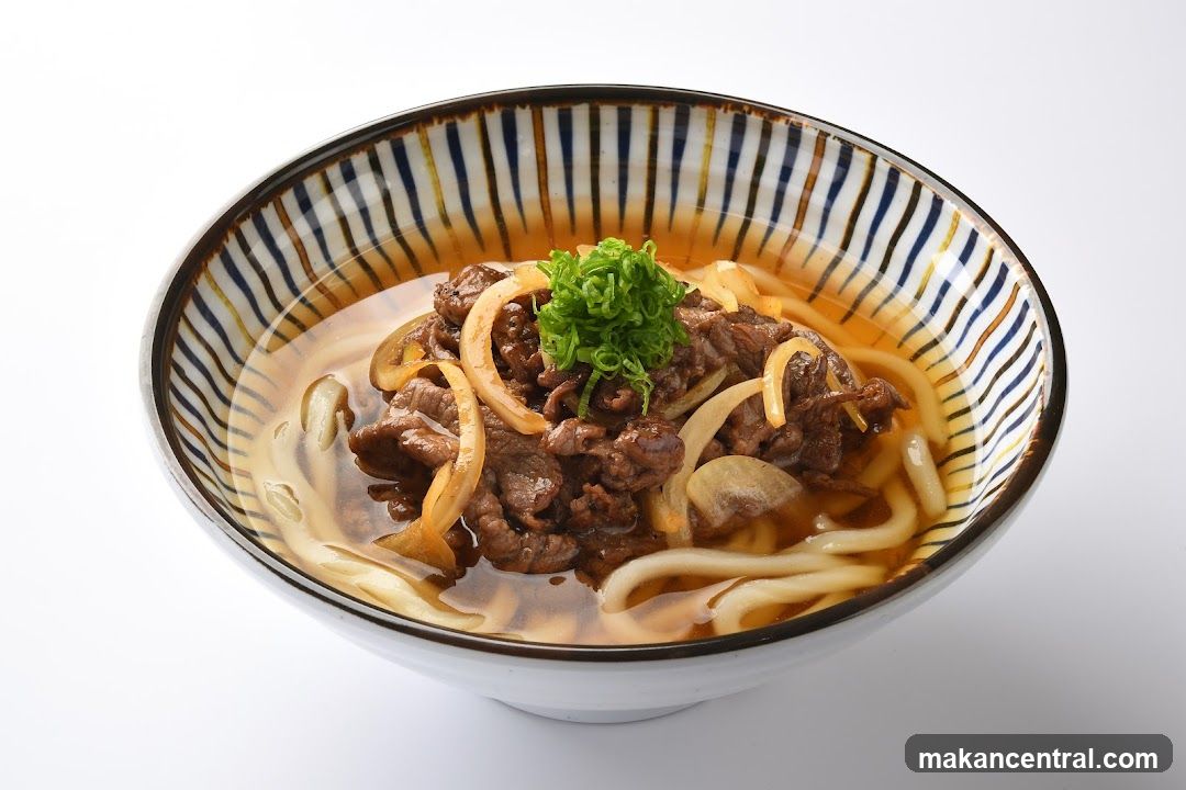 Beef Udon Soup