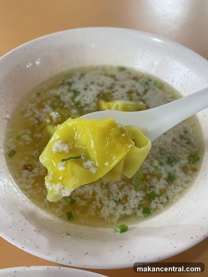 Wonton Soup