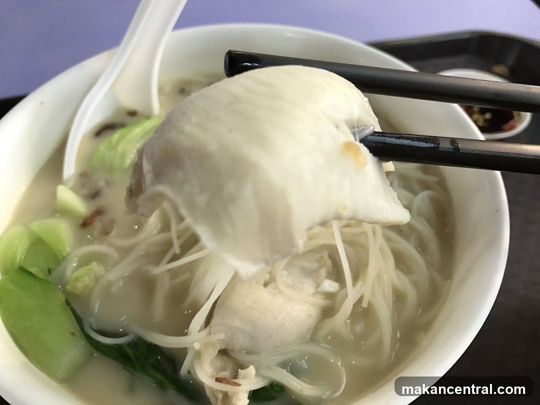 Fish Noodles