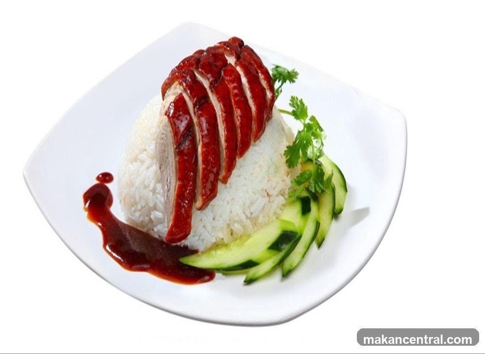 Roast Duck Rice