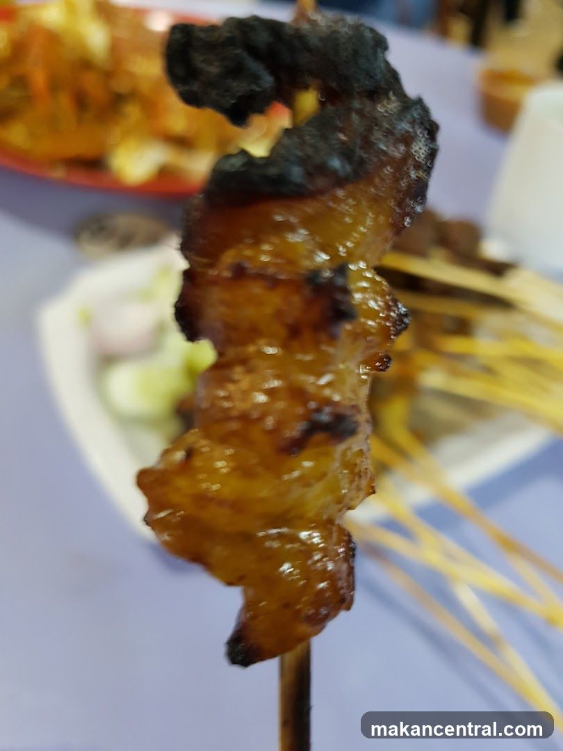 Close-up of Satay Skewer